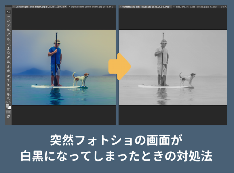 Photoshopの画面が突然 白黒 になってしまった時の対処法