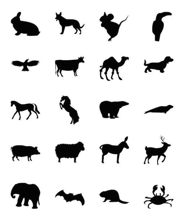 20_animal_shapes_for_photoshop_by_unidentifystudios-min