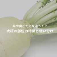 大根の部位解説