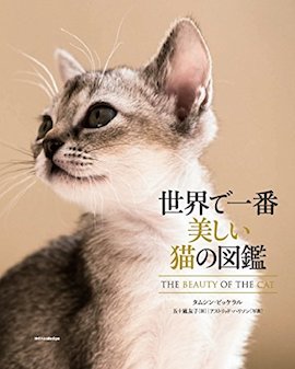 世界で１番美しい猫の図鑑