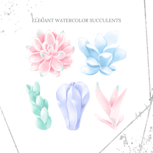 植物の水彩画イラスト