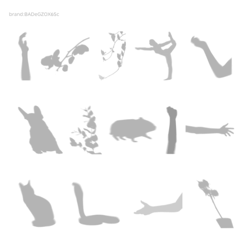 動物の影のイラスト