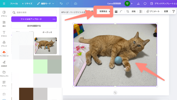 写真をアップロードして背景除去をクリック