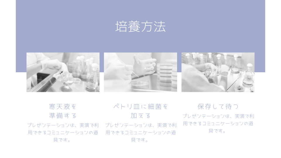 授業で使えるプリント用テンプレート