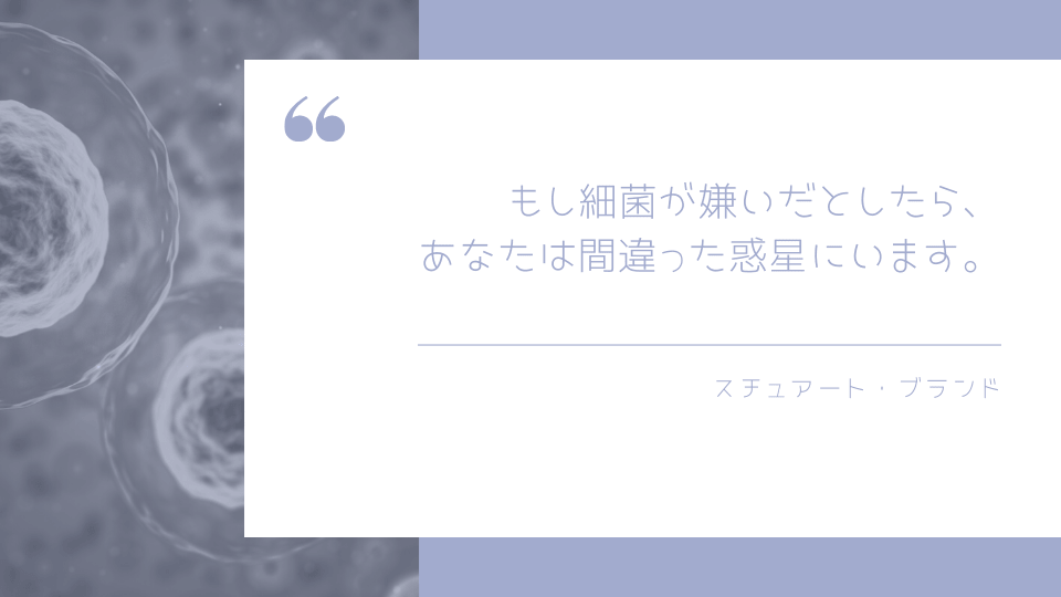 授業におすすめなスライド用テンプレート