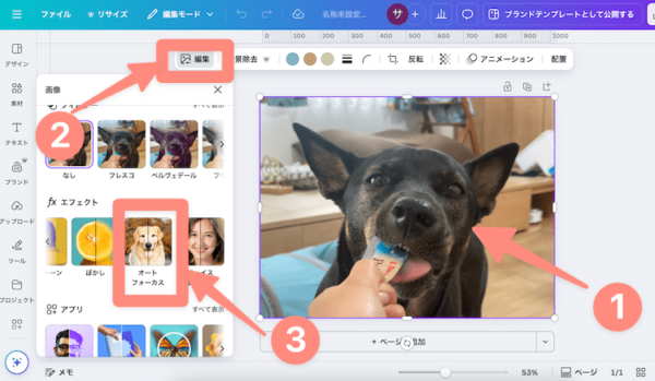 Canva編集画面でもオートフォーカスで背景をぼかせる
