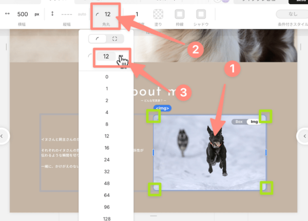 画像の角を丸くする
