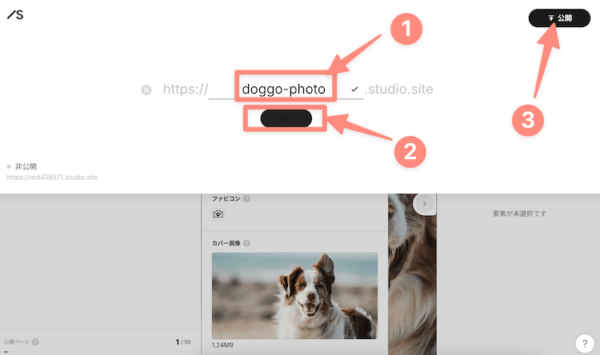 ドメインを入力して公開