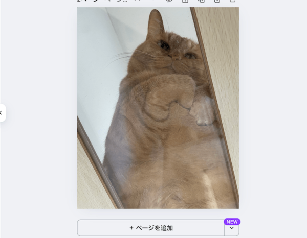 背景に画像を設定できた