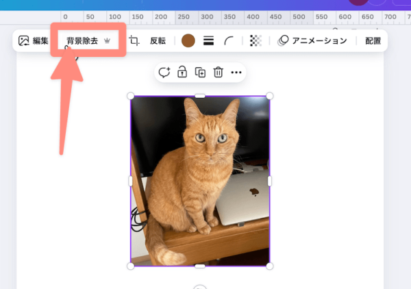 アップロードされたら背景除去アップロードされたら背景除去