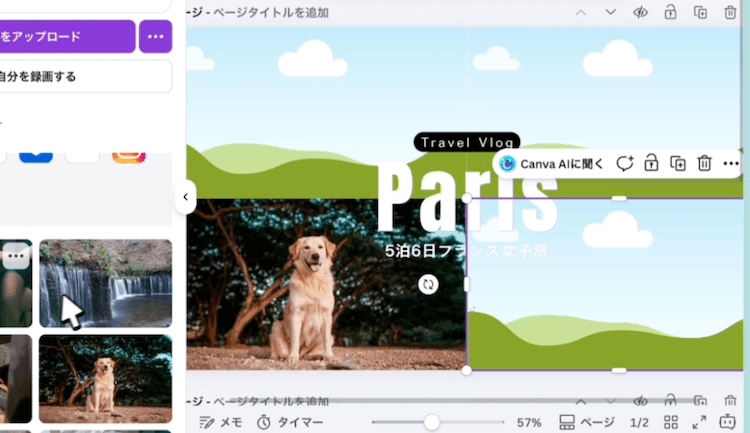画像がフレーム内に収まった