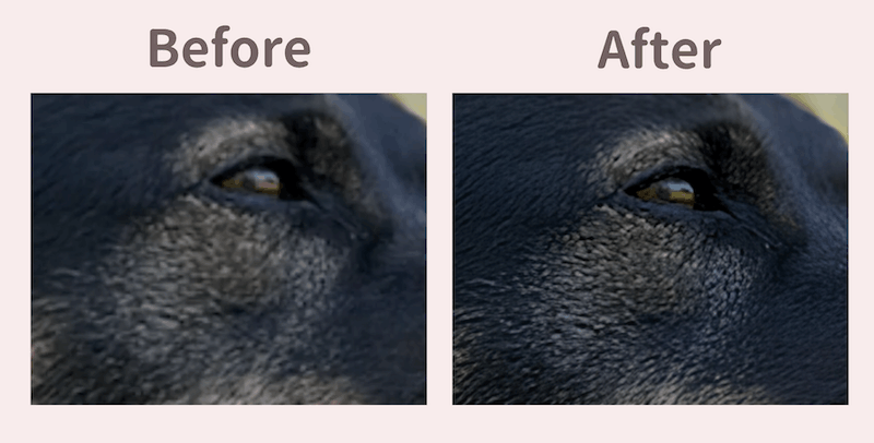 Canvaで低画質な画像をキレイにして高画質にした
