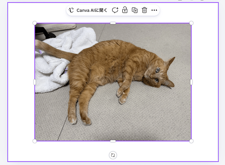 CanvaのMagic Layerを普通の写真に使ってみる。