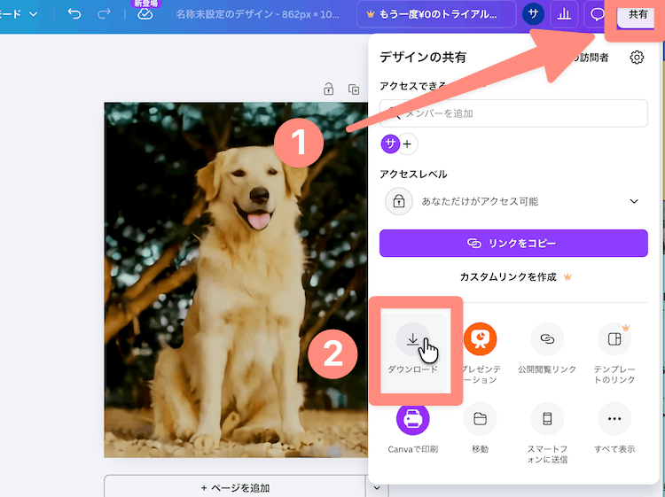 右上の共有からダウンロードをクリック